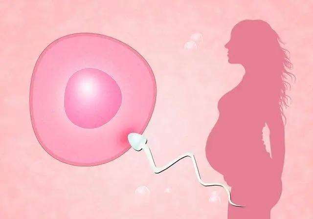 安顺试管婴儿医院成功率排行(图3)