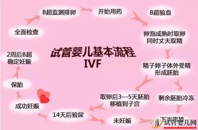成功的女人,花50万做试管婴儿,试管过程你得知道(图2) 成功的女人,花50万做试管婴儿,试管过程你得知道(图2)