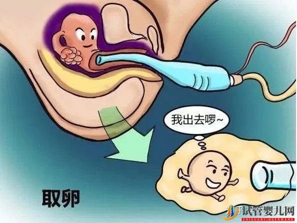 成功的女人,花50万做试管婴儿,试管过程你得知道(图10) 成功的女人,花50万做试管婴儿,试管过程你得知道(图10)