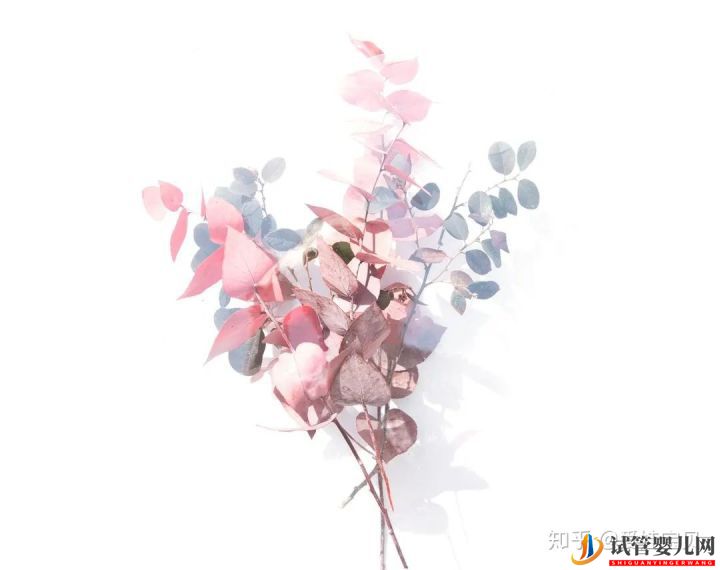 成功的女人,花50万做试管婴儿,试管过程你得知道(图16) 成功的女人,花50万做试管婴儿,试管过程你得知道(图16)