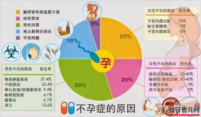 试管婴儿的一个基本流程和周期时间(图6) 试管婴儿的一个基本流程和周期时间(图6)