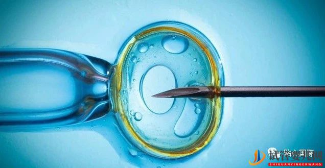 试管婴儿4大流程,让你了解它究竟是什么(图1) 试管婴儿4大流程,让你了解它究竟是什么(图1)