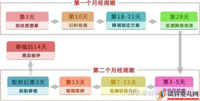 一个试管婴儿周期多长时间,具体流程怎么样(图1) 一个试管婴儿周期多长时间,具体流程怎么样(图1)
