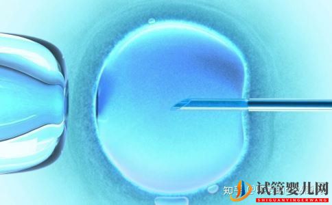 什么是试管受精试管受精的具体步骤有哪些(图2) 什么是试管受精试管受精的具体步骤有哪些(图2)