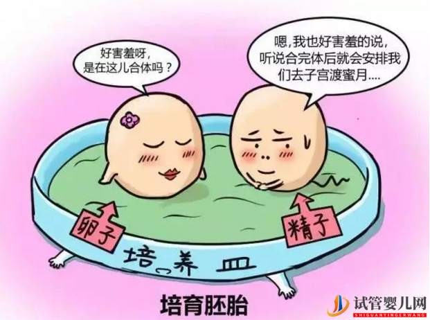 试管婴儿进行时,老公们应该如何做?(图1) 试管婴儿进行时,老公们应该如何做?(图1)