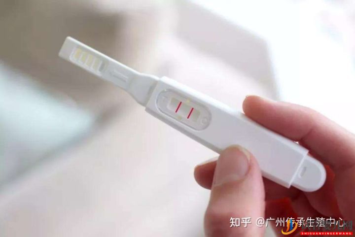 做试管很痛苦_生殖科医生告诉你做试管的全过程(图6) 做试管很痛苦_生殖科医生告诉你做试管的全过程(图6)