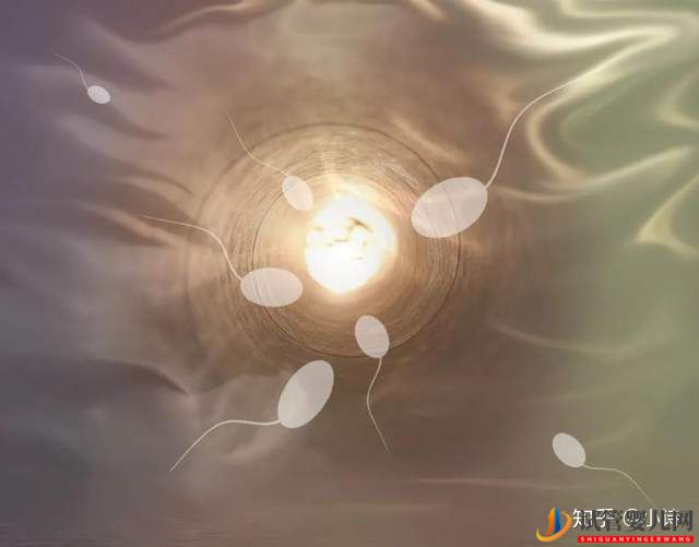 试管小白_胚胎移植的超详细过程,胚胎移植术前(图6) 试管小白_胚胎移植的超详细过程,胚胎移植术前(图6)