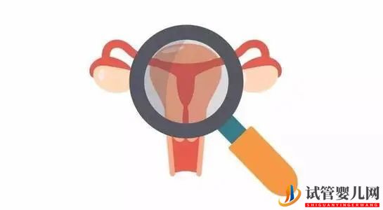 做试管婴儿前有必要做宫腔镜检查吗?(图1) 做试管婴儿前有必要做宫腔镜检查吗?(图1)