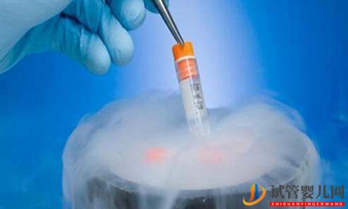 试管婴儿冻胚的复苏和移植过程是怎样的?(图1) 试管婴儿冻胚的复苏和移植过程是怎样的?(图1)