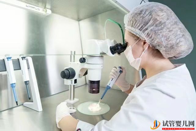 试管婴儿的胚胎是怎么培育的?胚胎培养液有什么作用?(图1) 试管婴儿的胚胎是怎么培育的?胚胎培养液有什么作用?(图1)