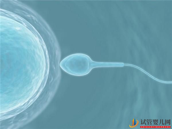 试管婴儿是怎样造出来的(图1) 试管婴儿是怎样造出来的(图1)