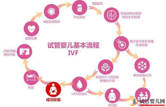 人工授精和试管婴儿的区别(图1) 人工授精和试管婴儿的区别(图1)