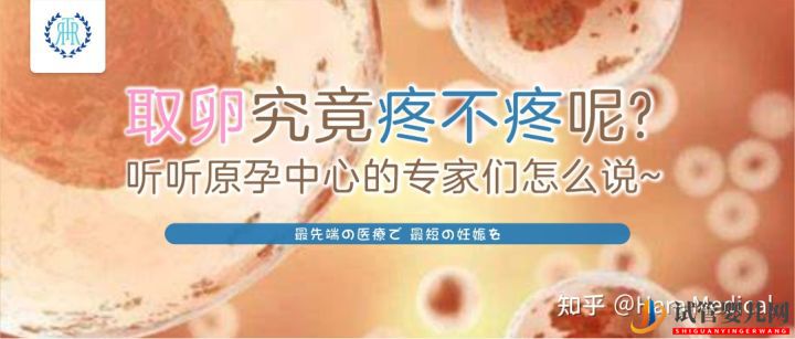 取卵究竟疼不疼呢_听听原孕中心的专家们怎么说(图2) 取卵究竟疼不疼呢_听听原孕中心的专家们怎么说(图2)