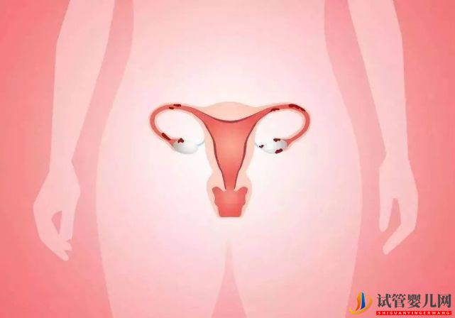 女性绝经后还可以做试管婴儿吗?(图1) 女性绝经后还可以做试管婴儿吗?(图1)