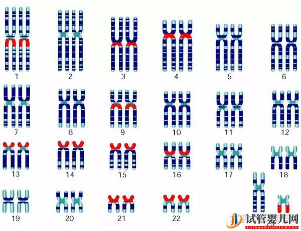 赴美做试管婴儿怎么选择靠谱的医院(图10) 赴美做试管婴儿怎么选择靠谱的医院(图10)