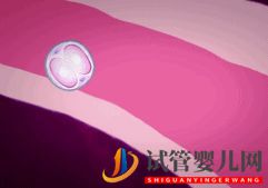 做试管婴儿到底要花多少钱_几万和十几万有什么区别(图7) 做试管婴儿到底要花多少钱_几万和十几万有什么区别(图7)