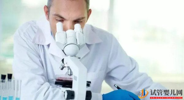 做试管婴儿的具体步骤是怎样的_一文给你讲解试管(图5) 做试管婴儿的具体步骤是怎样的_一文给你讲解试管(图5)