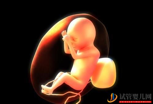 女性雌二醇低可以做试管婴儿吗有什么影响(图1) 女性雌二醇低可以做试管婴儿吗有什么影响(图1)