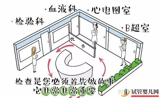 试管婴儿男女双方需要做的检查项目及注意事项!(图1) 试管婴儿男女双方需要做的检查项目及注意事项!(图1)