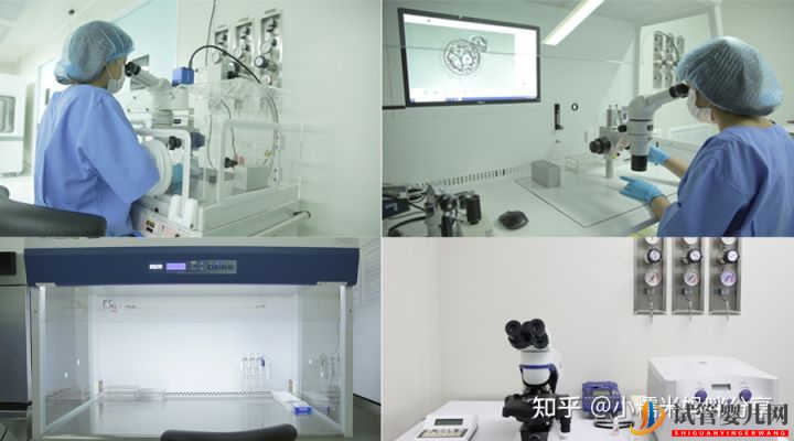 做一次试管婴儿多少钱(图2) 做一次试管婴儿多少钱(图2)