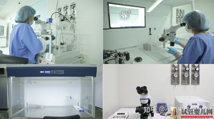 做一次试管婴儿多少钱(图1) 做一次试管婴儿多少钱(图1)