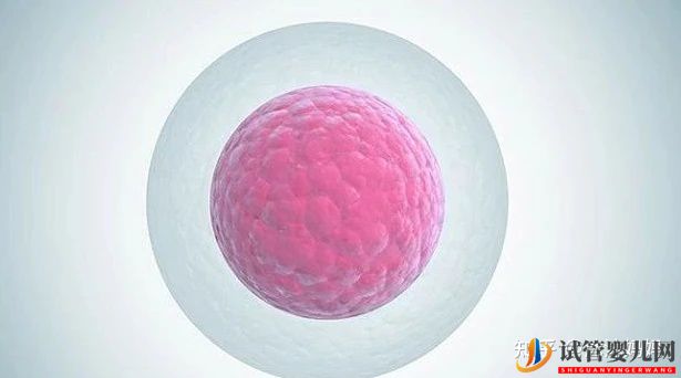 泰国做第三试管女性受罪吗(图4) 泰国做第三试管女性受罪吗(图4)