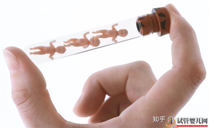 试管婴儿成功诞生有多难(图2) 试管婴儿成功诞生有多难(图2)