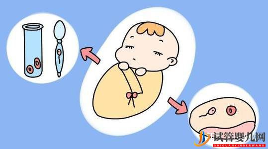 “试管婴儿”只能活到四五十岁这你也信!(图4) “试管婴儿”只能活到四五十岁这你也信!(图4)