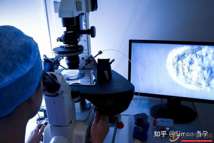 什么是第一代、二代、三代试管婴er别再傻傻分不清...(图3) 什么是第一代、二代、三代试管婴er别再傻傻分不清...(图3)