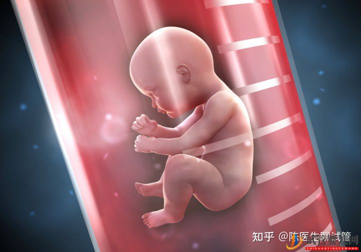 试管婴儿多少钱一次一代二代三代费用详解(图3) 试管婴儿多少钱一次一代二代三代费用详解(图3)