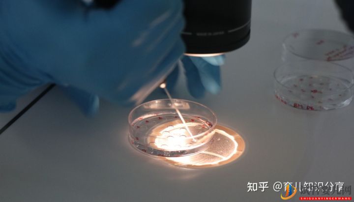 去泰国做试管需要条件要准生证吗(图2) 去泰国做试管需要条件要准生证吗(图2)