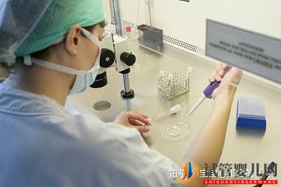 泰国第三代试管婴儿费用如何降低成功率如何提高(图1) 泰国第三代试管婴儿费用如何降低成功率如何提高(图1)