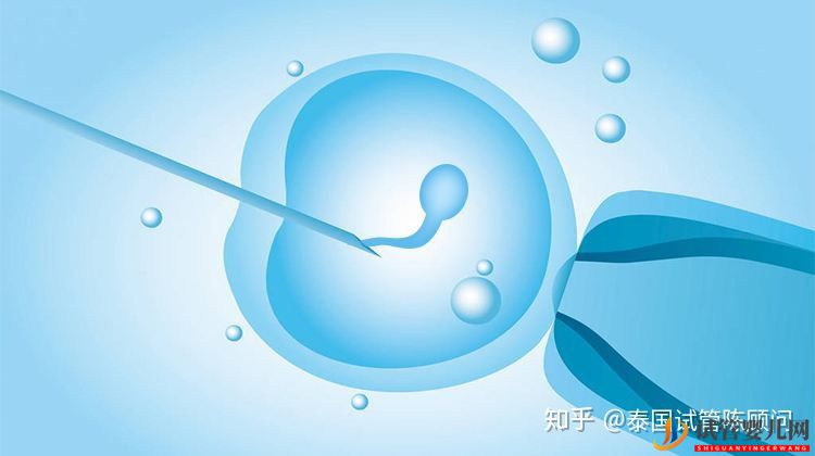 做泰国试管,可以从这四方面评估成功率(图2) 做泰国试管,可以从这四方面评估成功率(图2)