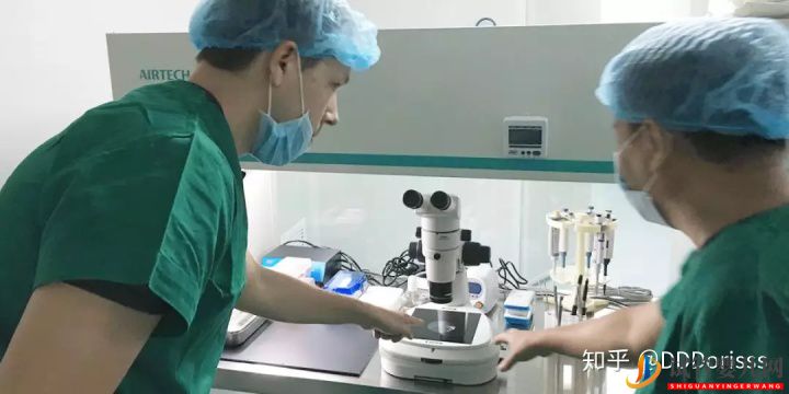 泰国试管婴儿VS国内试管婴儿大比拼(图11) 泰国试管婴儿VS国内试管婴儿大比拼(图11)