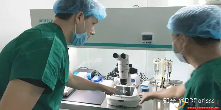泰国试管婴儿VS国内试管婴儿大比拼(图12) 泰国试管婴儿VS国内试管婴儿大比拼(图12)