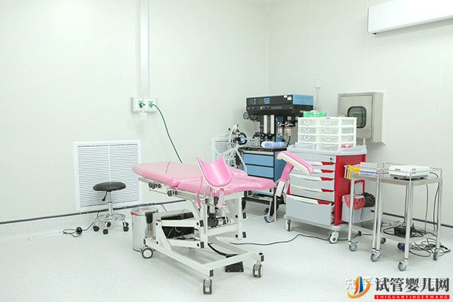 泰国试管婴儿的孩子优缺点适应症(图3) 泰国试管婴儿的孩子优缺点适应症(图3)