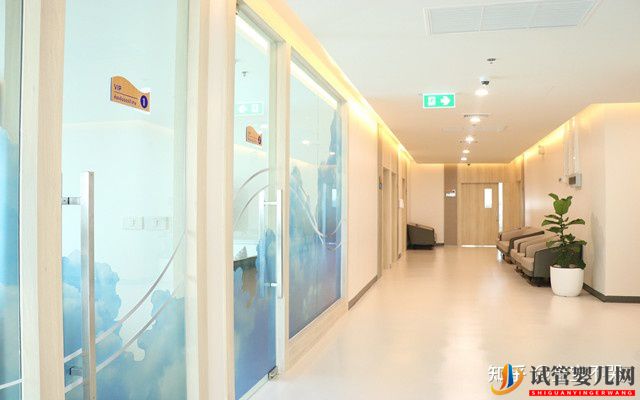 泰国试管婴儿适应人群有哪些什么人不适合做(图3) 泰国试管婴儿适应人群有哪些什么人不适合做(图3)