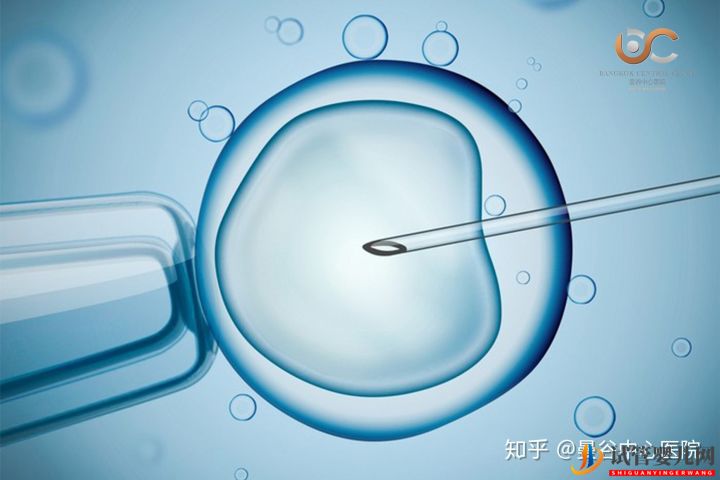 泰国试管婴儿体外受精术步骤解读(图2) 泰国试管婴儿体外受精术步骤解读(图2)
