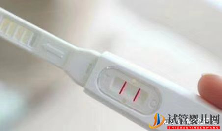 泰国试管婴儿心路历程(图1) 泰国试管婴儿心路历程(图1)