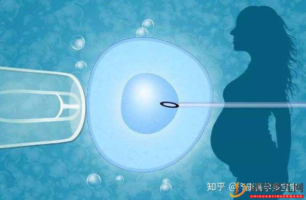 高龄去泰国做试管婴儿真实经历成功消息振奋人心(图4) 高龄去泰国做试管婴儿真实经历成功消息振奋人心(图4)