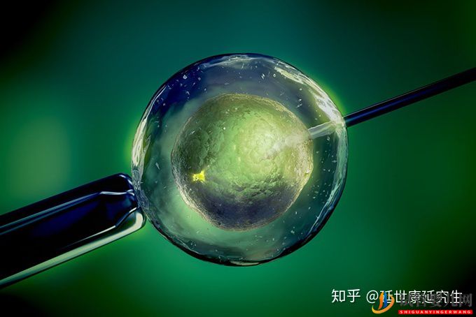 选择泰国试管婴儿的8大理由!(图1) 选择泰国试管婴儿的8大理由!(图1)