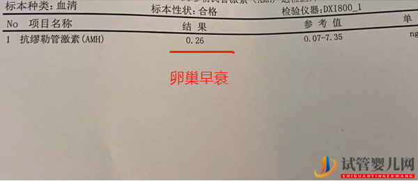 amh0.26做试管还有希望