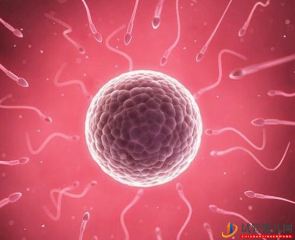 国内精子库精子做试管费用明细(图1)