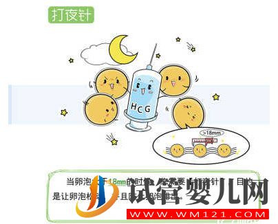 试管婴儿流程步骤说明 试管婴儿流程步骤说明(图6)