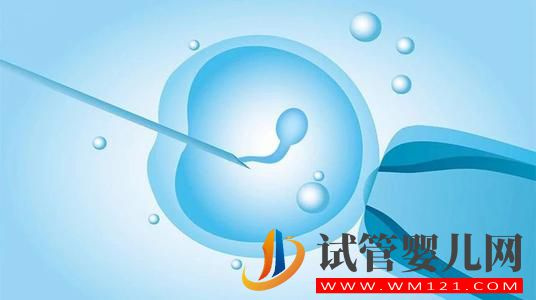 试管婴儿与人工受精的区别 人工受精的成功率(图1) 日喀则试管婴儿与人工受精的区别 人工受精的成功率(图1)