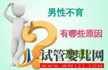 影响男性不孕的因素有哪些?(图1) 三门峡影响男性不孕的因素有哪些?(图1)
