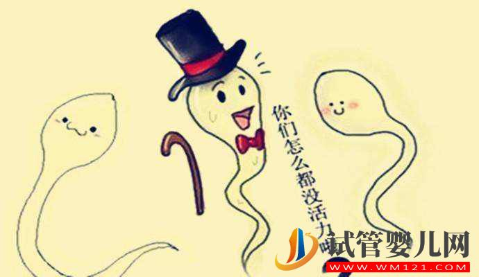 别轻视弱精症!(图1) 别轻视弱精症!(图1)