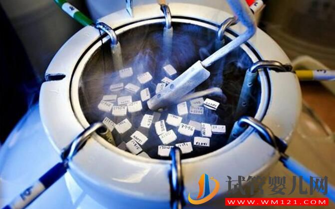 做试管胚胎移植究竟可以冷冻保存多久?(图1) 做试管胚胎移植究竟可以冷冻保存多久?(图1)