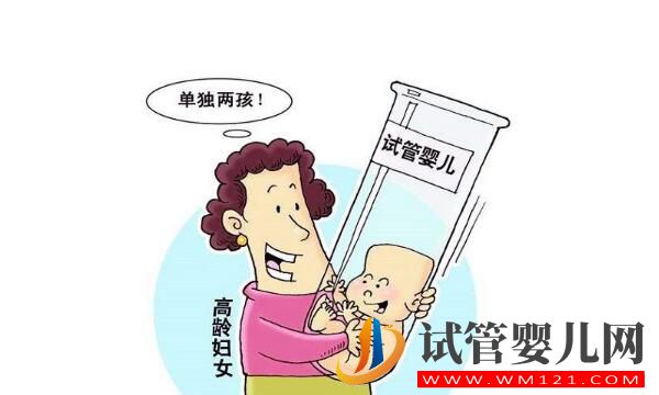 高龄女性做试管婴儿怎么改善卵子质量?(图1) 高龄女性做试管婴儿怎么改善卵子质量?(图1)