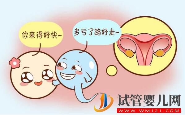 子宫内膜薄可以做试管婴儿吗?(图3) 子宫内膜薄可以做试管婴儿吗?(图3)